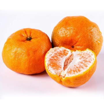 Hot Selling Sweet Seedless Fresh Juicy Mandarin Orange